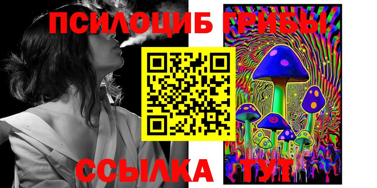 Тара  наркотики  Вход с VPN  Галлюциногенные грибы Psilocybe 
