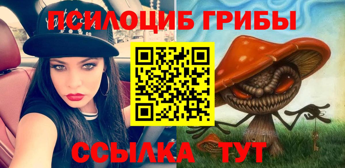 Галлюциногенные грибы Magic Shrooms Тара